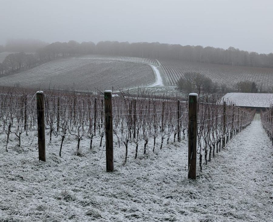 How Chilterns’ Hundred Hills has got wine critics purring