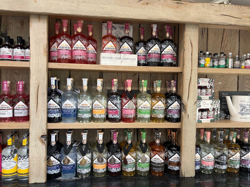 Warner's gin