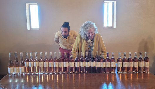 Liz Gabay MW: why Rosé needs to be taken more seriously