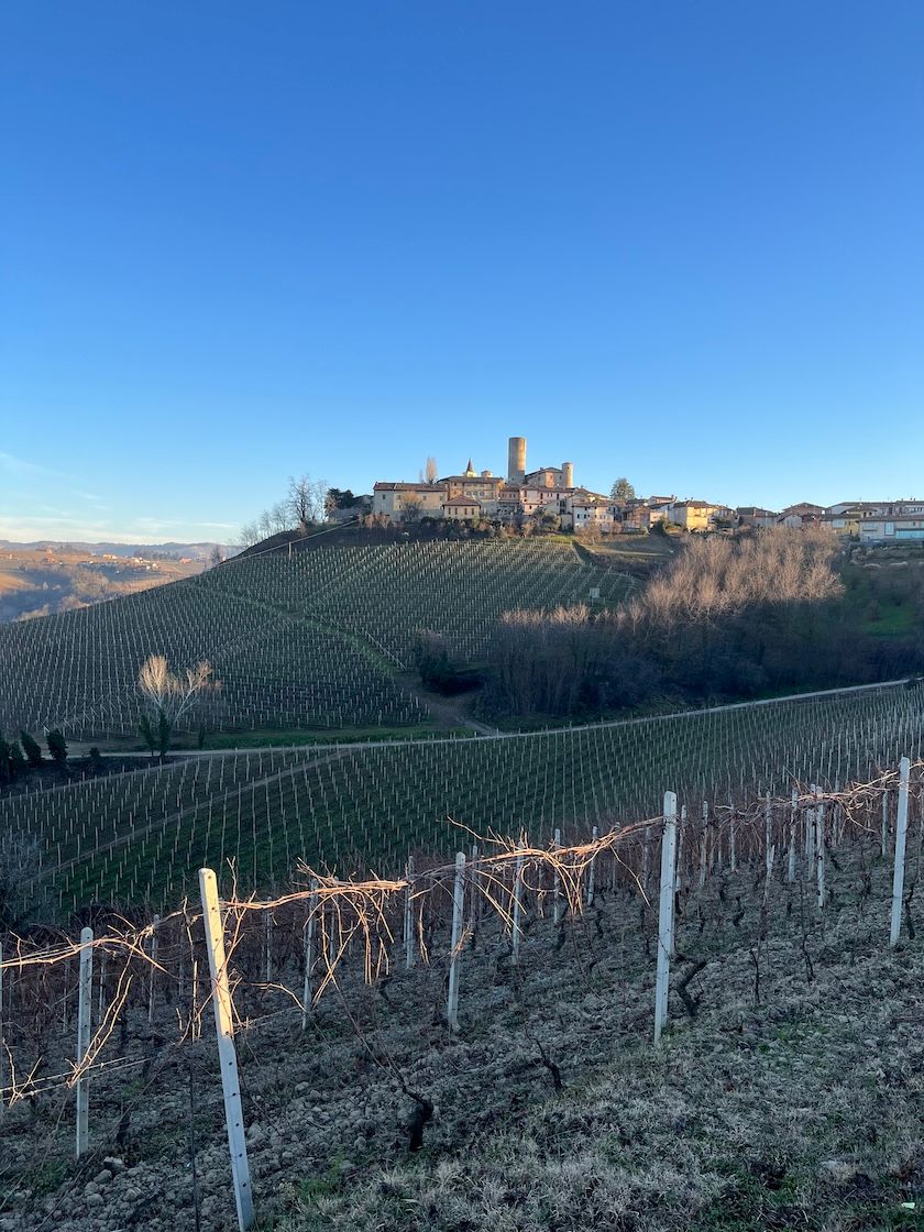 John Wilson: revisiting the 'lockdown' 2020 vintage of Barolo 