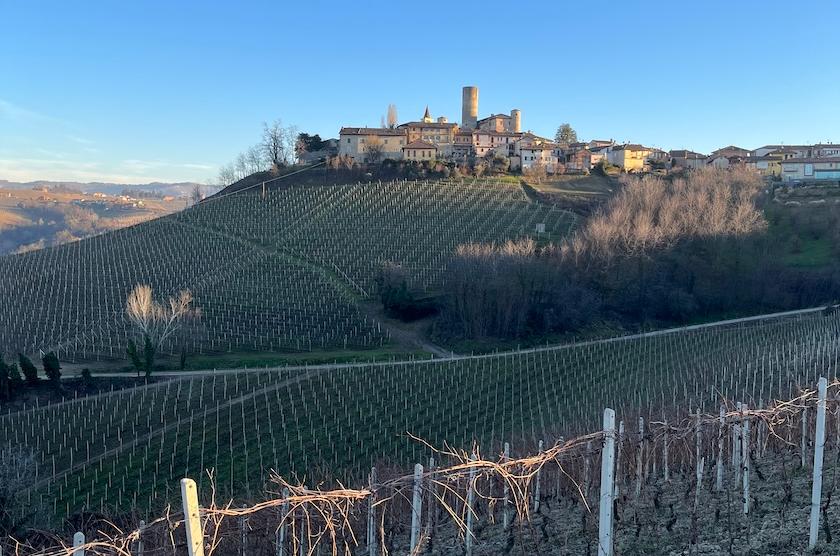 John Wilson: revisiting the 'lockdown' 2020 vintage of Barolo 