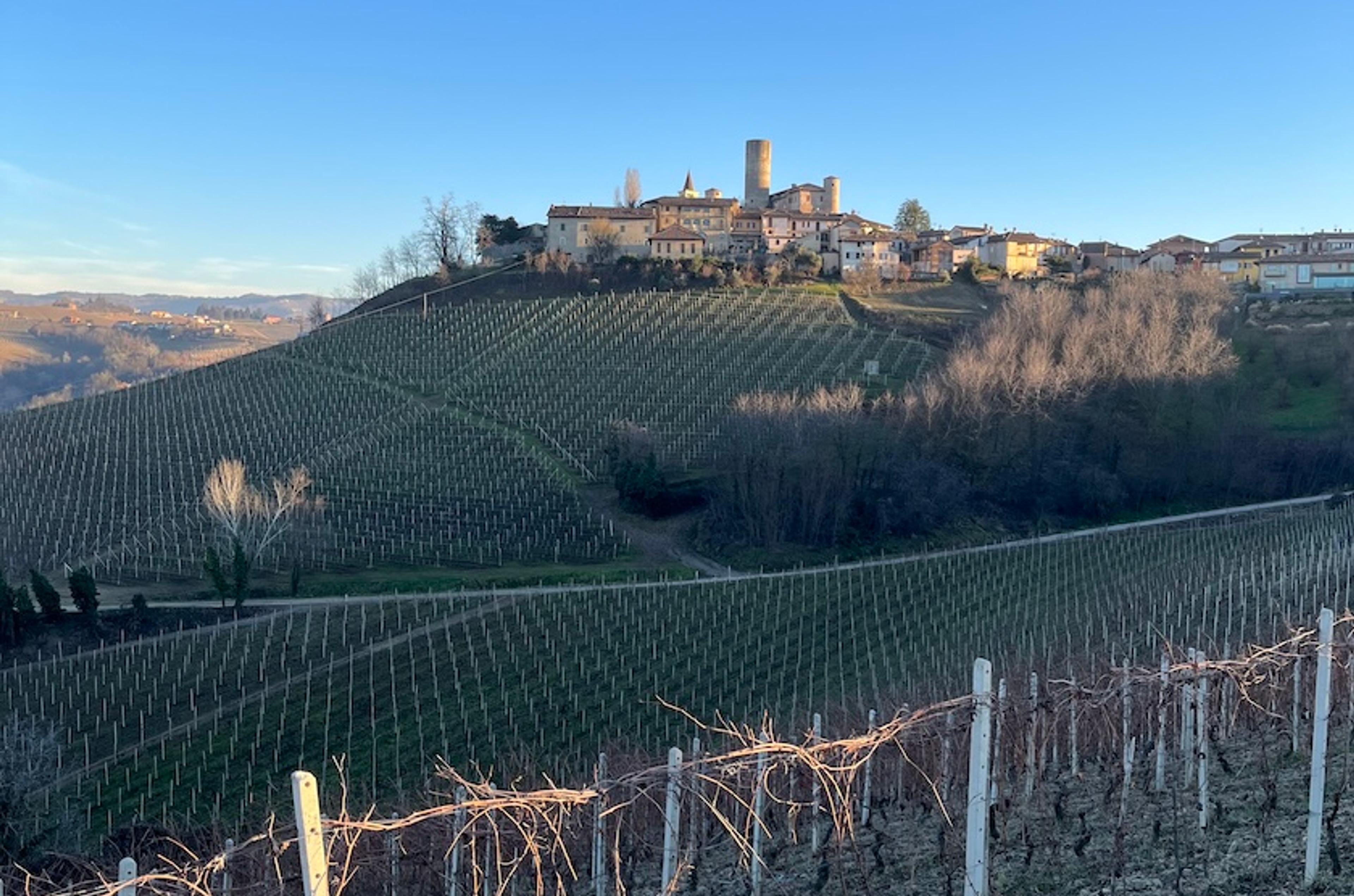 John Wilson: revisiting the 'lockdown' 2020 vintage of Barolo