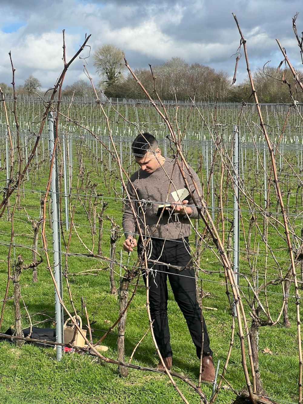 Roebuck Estate Viticulture Academy