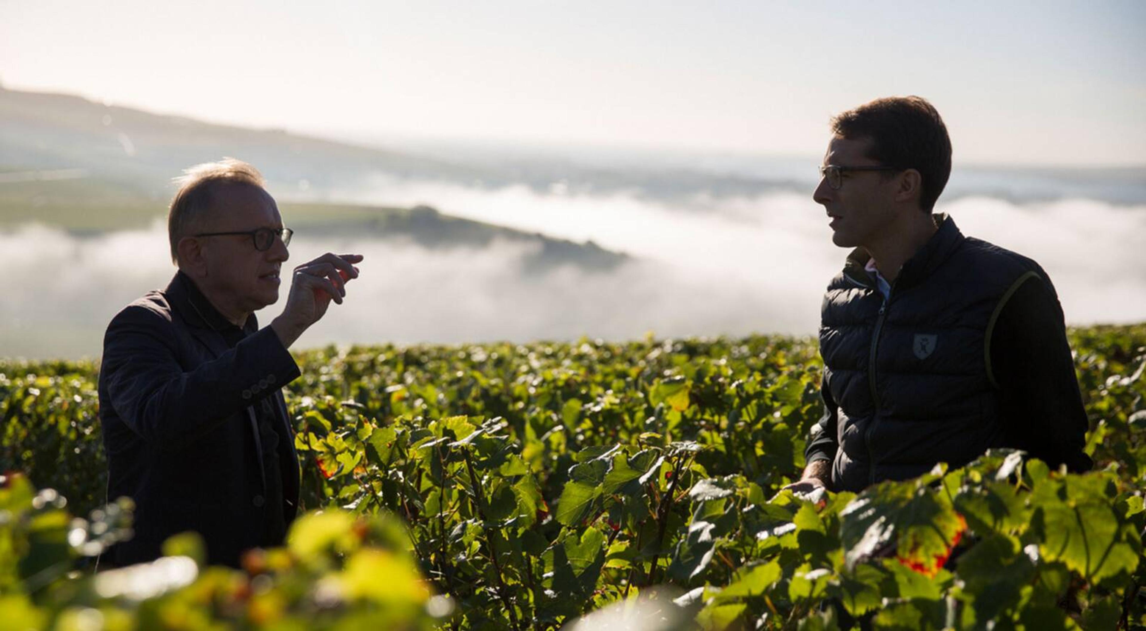 How Dom Pérignon made a vintage in 2010 when many didn’t
