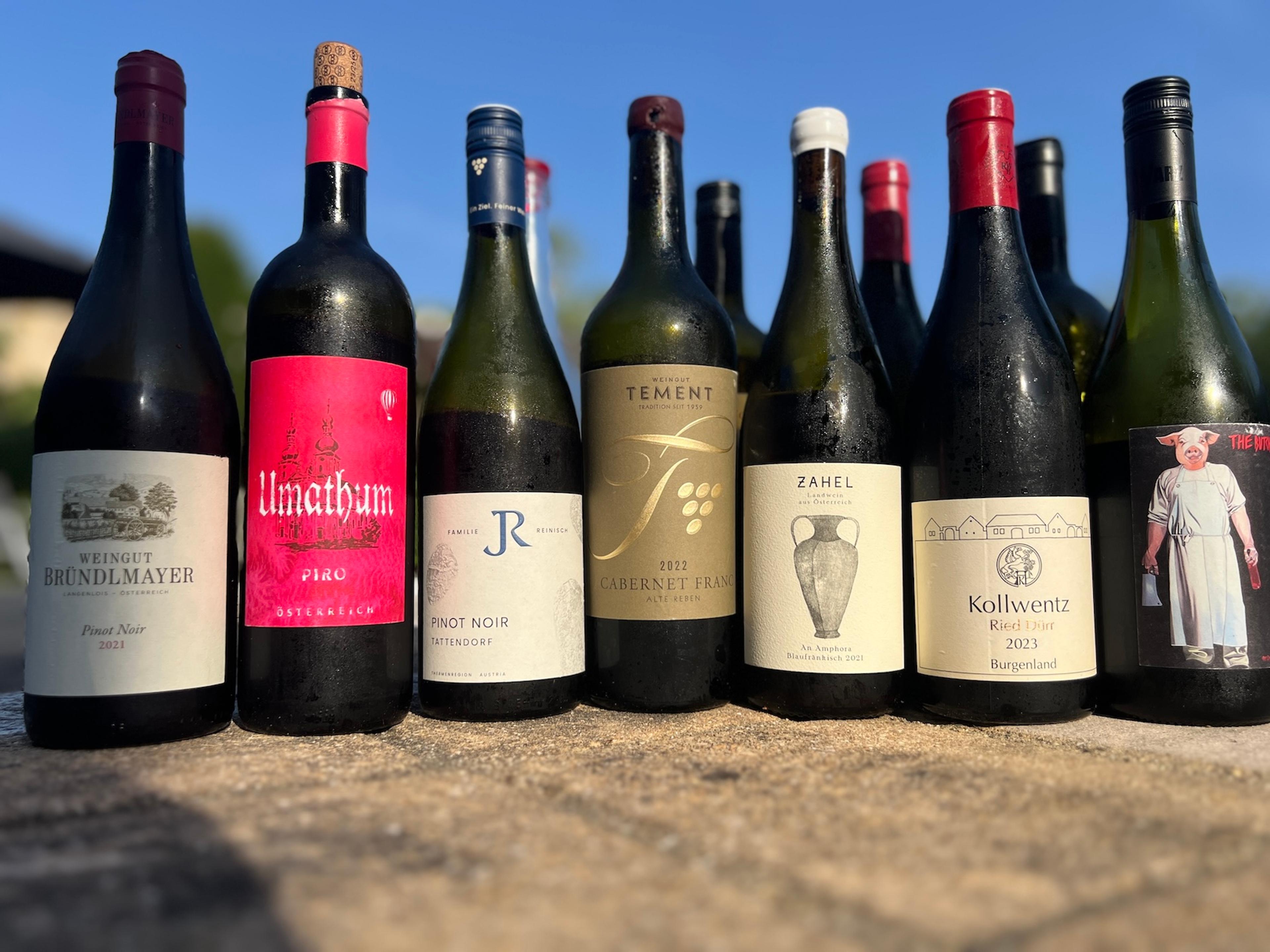 Peter Dean on chilled Austrian red wines – a new kind of cool