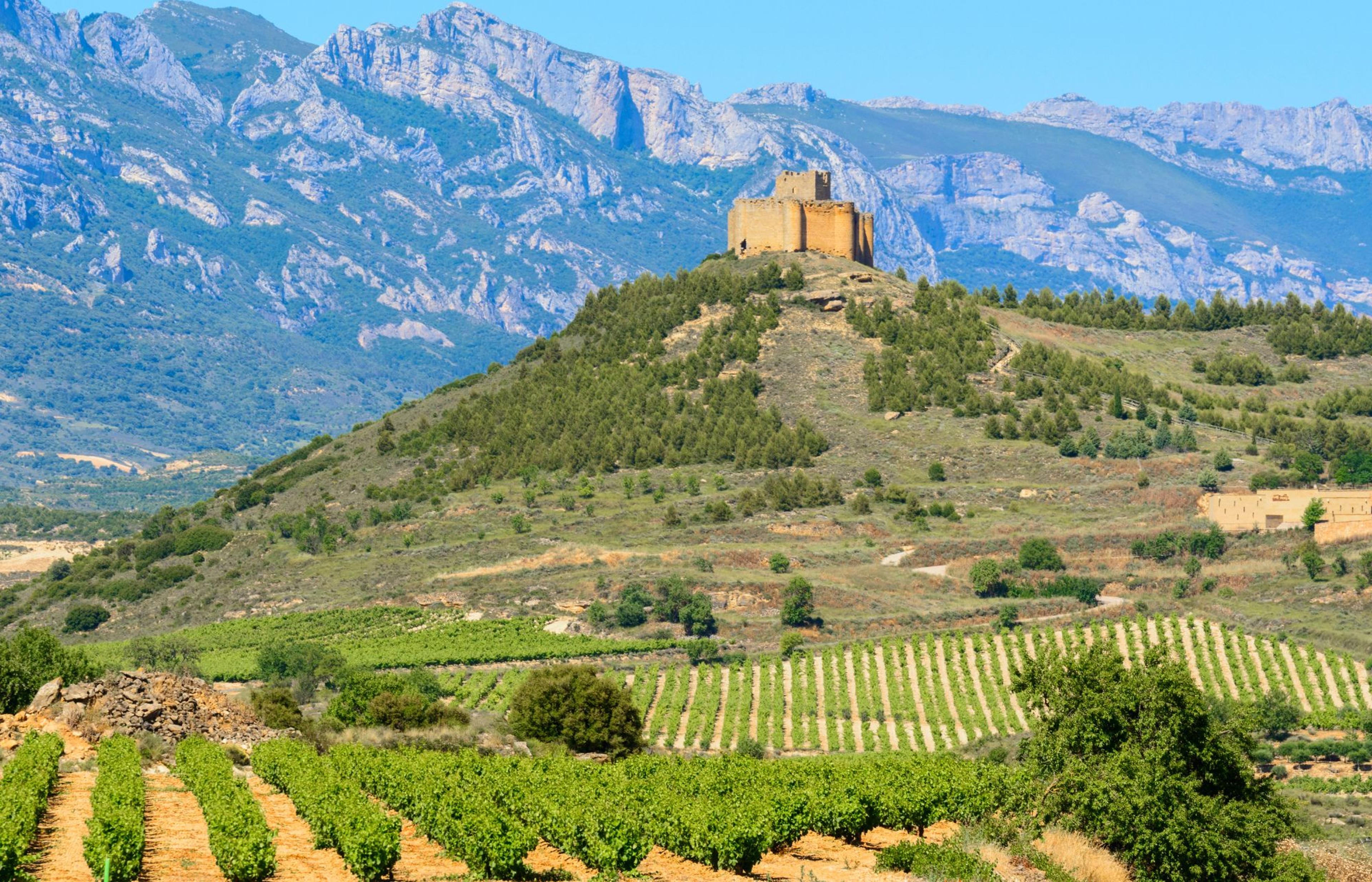 How Feliz Rioja is bringing new wave Rioja to the UK