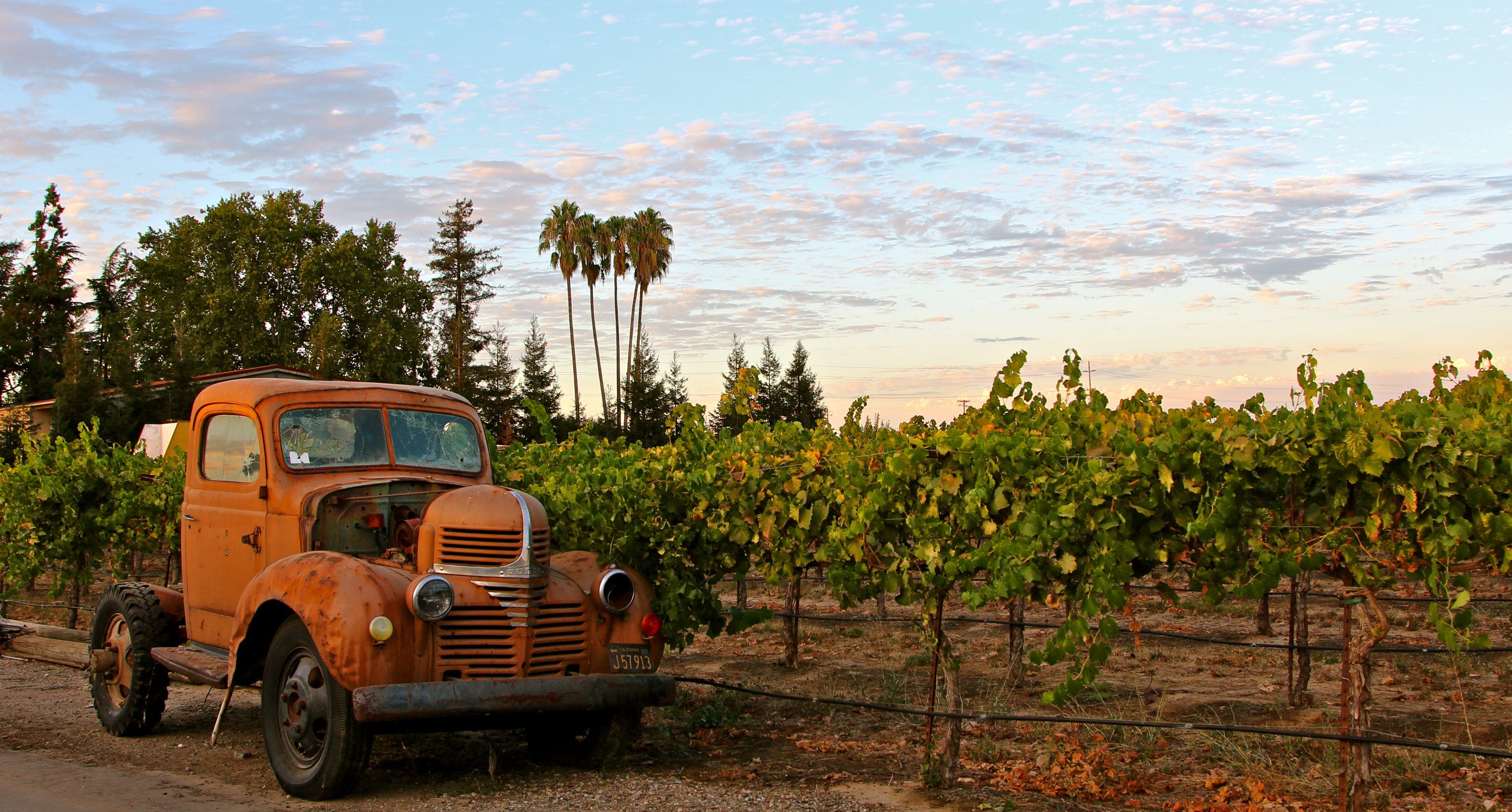 How Lodi is one of California’s premium wine regions