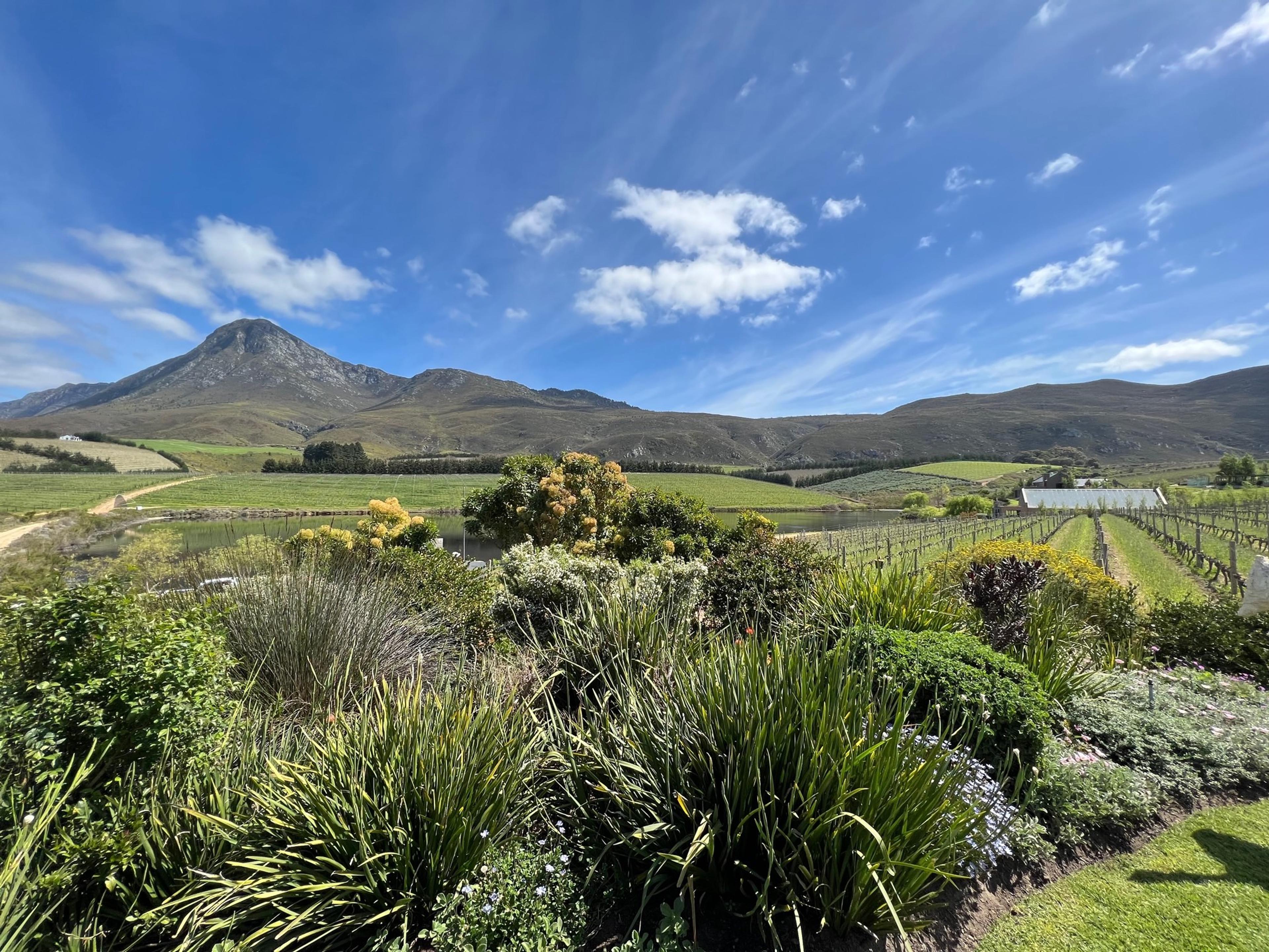 Buyers should treat South Africa differently from other countries