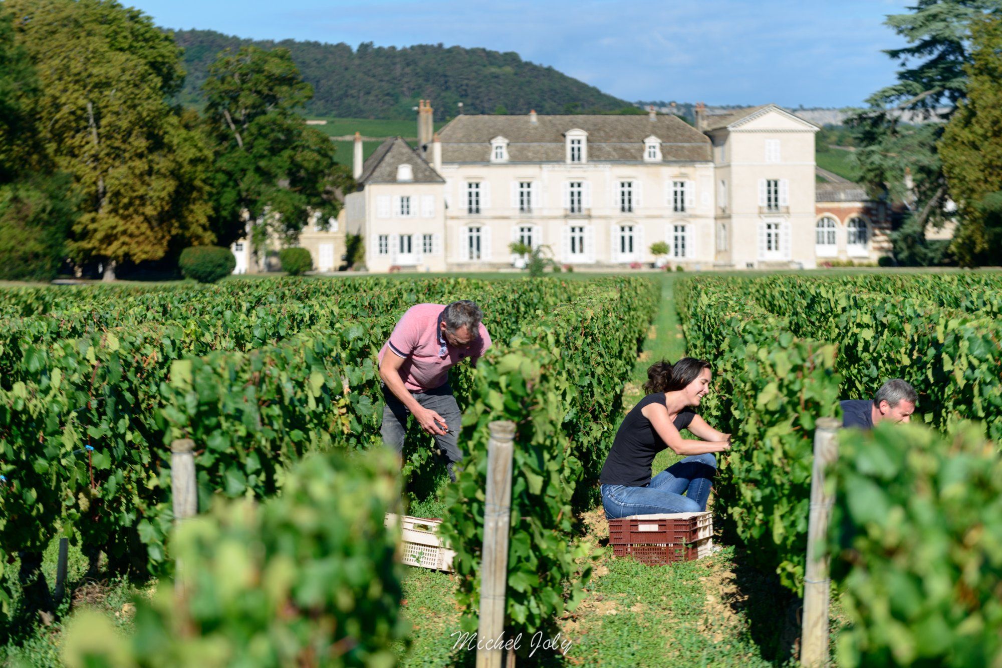 Alexander Stone revels in discovering Château Meursault