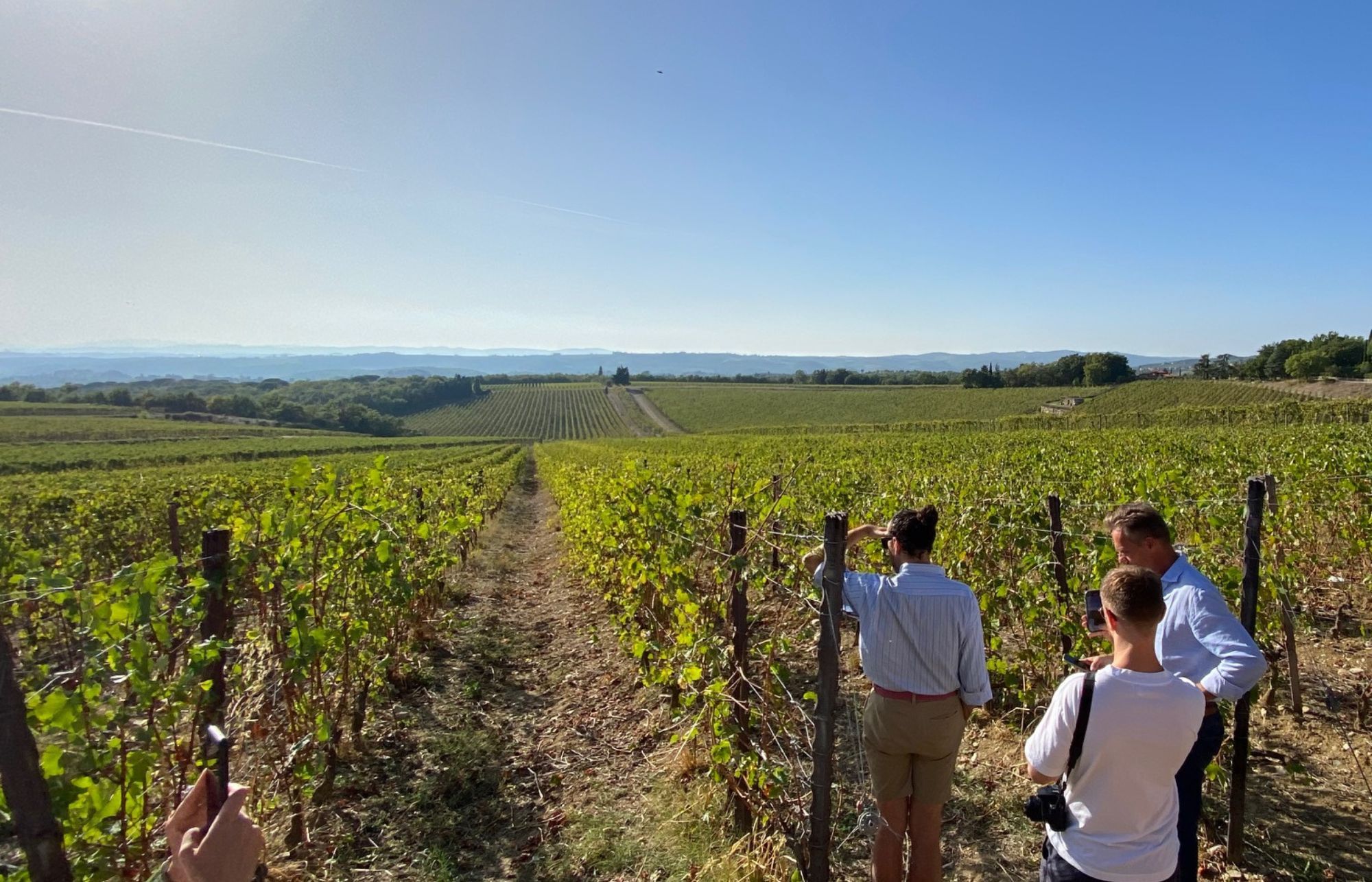 San Felice: 2020 Poggio Rosso, Gran Selezione and the 2024 harvest