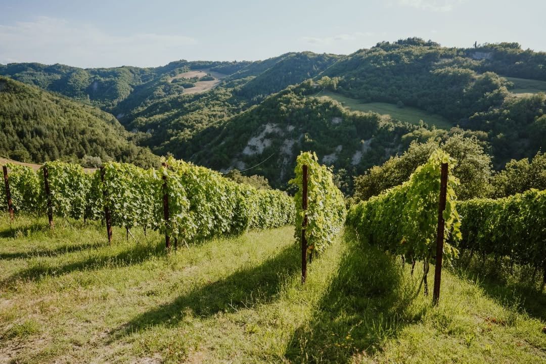 How Emilia-Romagna is a region still striving to find its own identity