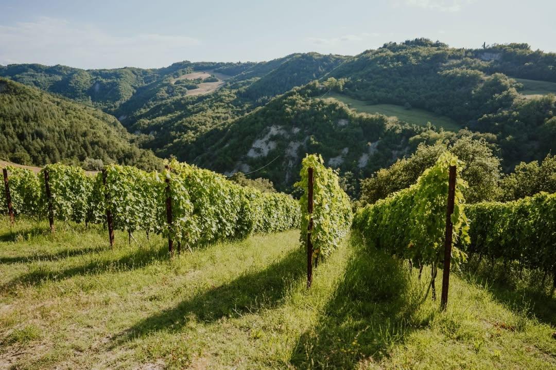 How Emilia-Romagna is a region still striving to find its own identity