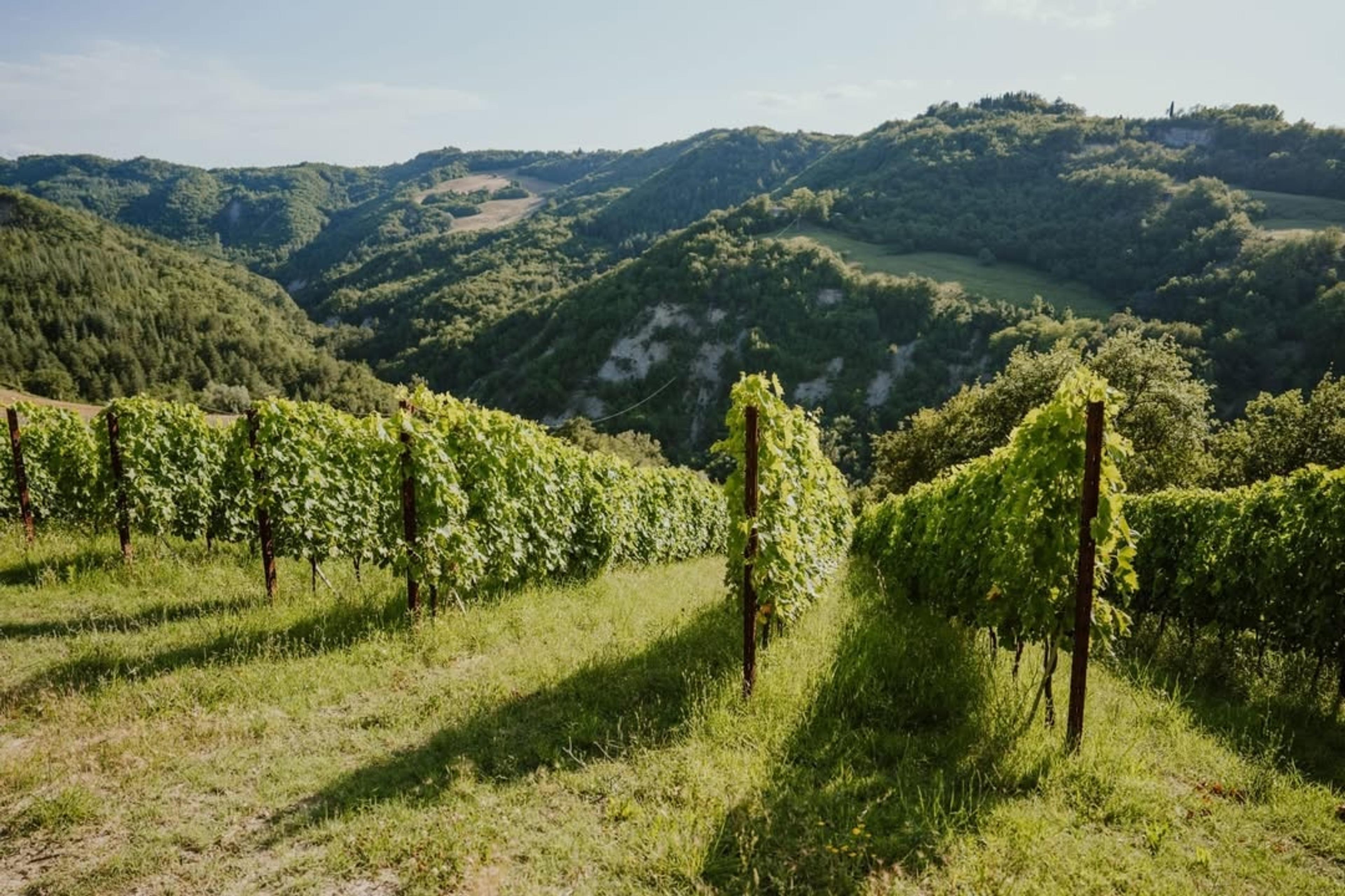 How Emilia-Romagna is a region still striving to find its own identity