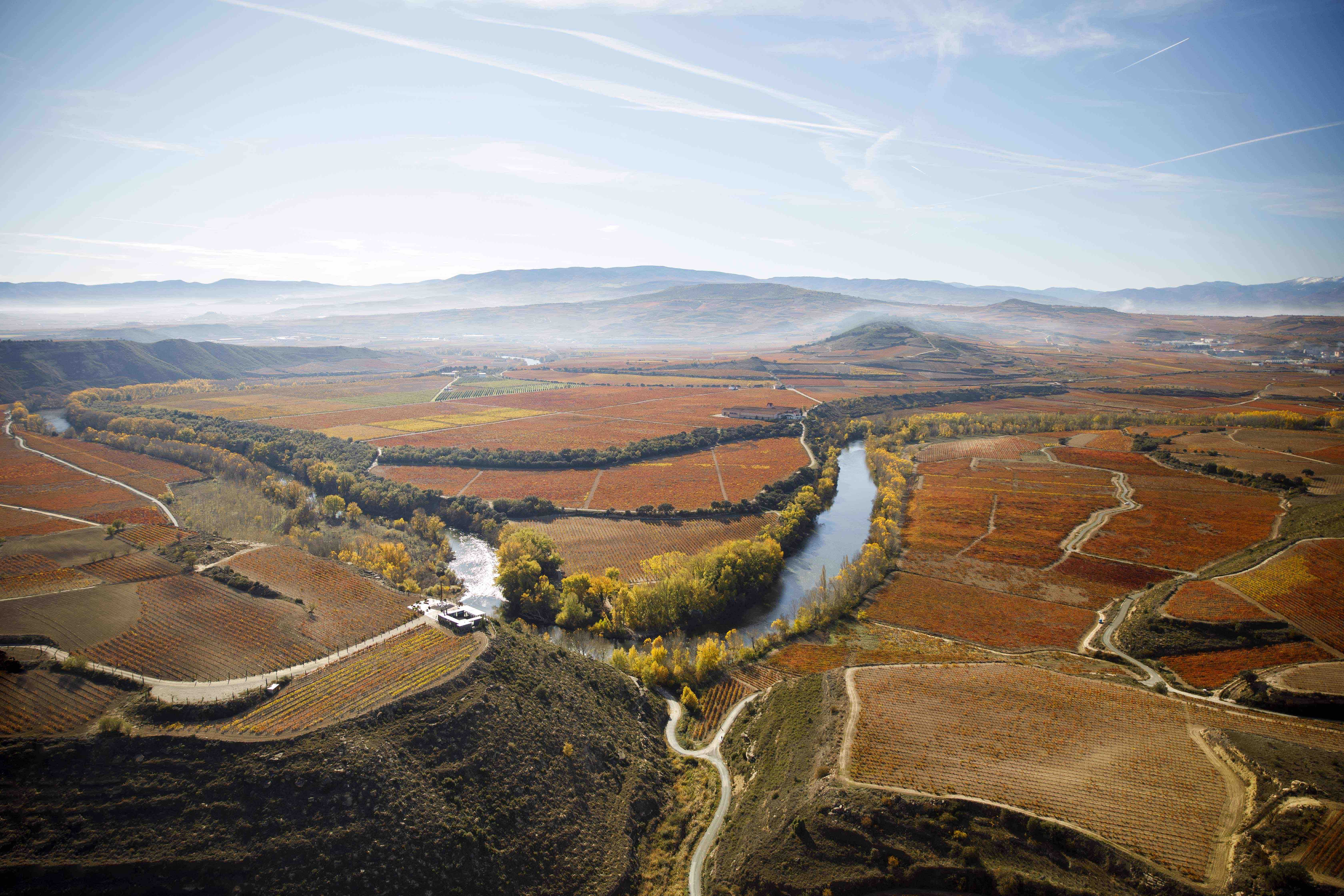 Tim Atkin & Sarah Jane Evans MWs on why Rioja is on a roll