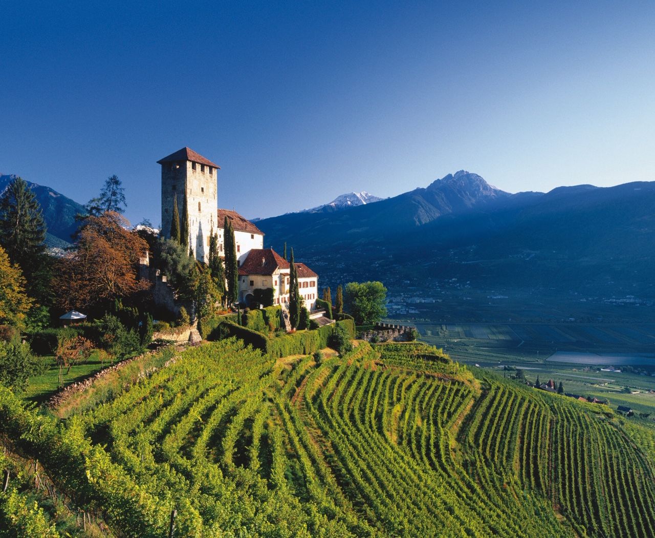 Roger Jones recommends the best white wines from Alto Adige