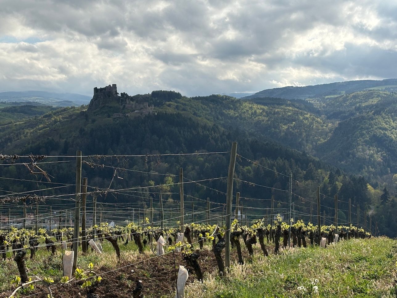 Loire Volcanique – discovering a new regional gem in the Loire