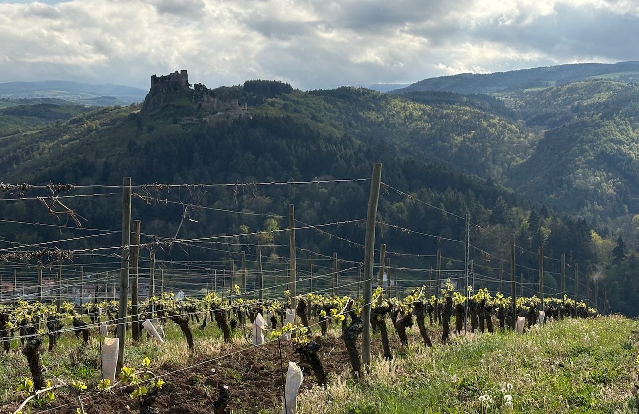 Loire Volcanique – discovering a new regional gem in the Loire
