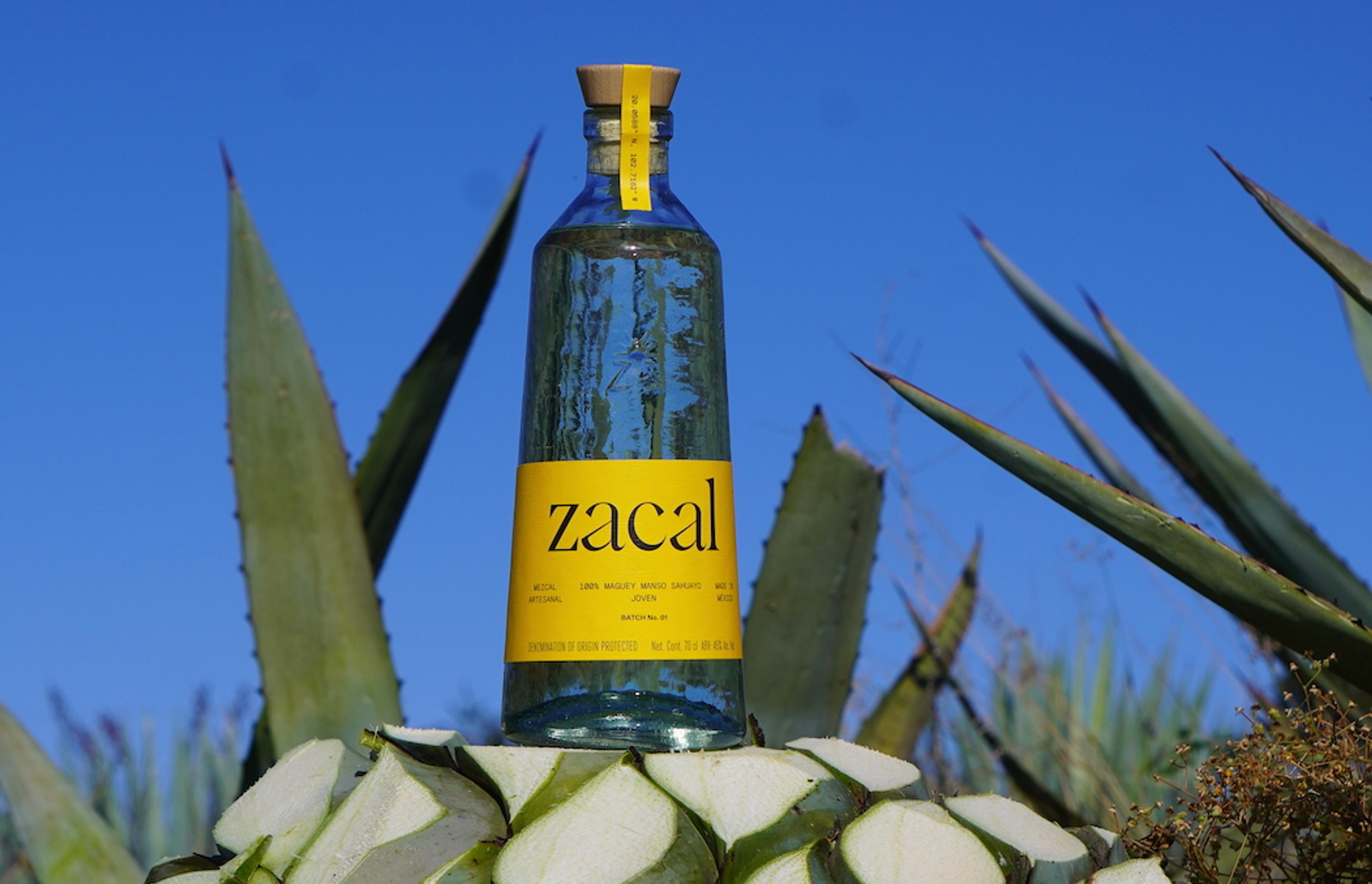 Why Zacal believes it's the artisan mezcal Mexico can be proud of