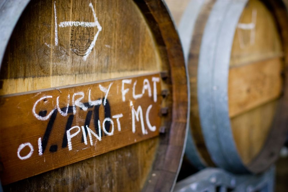 Anne Krebiehl MW: how to analyse Curly Flat Pinot Noir