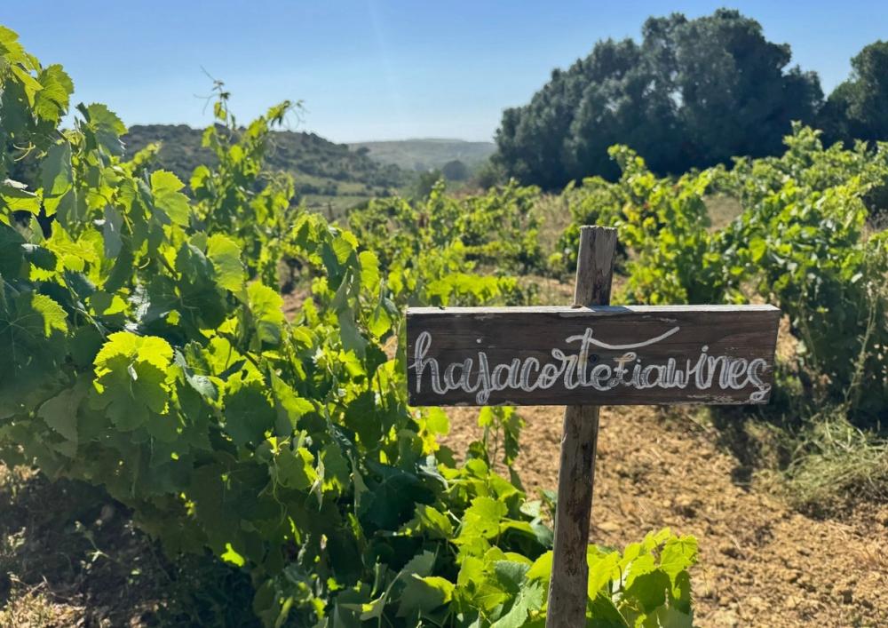 Vinhos de Lisboa