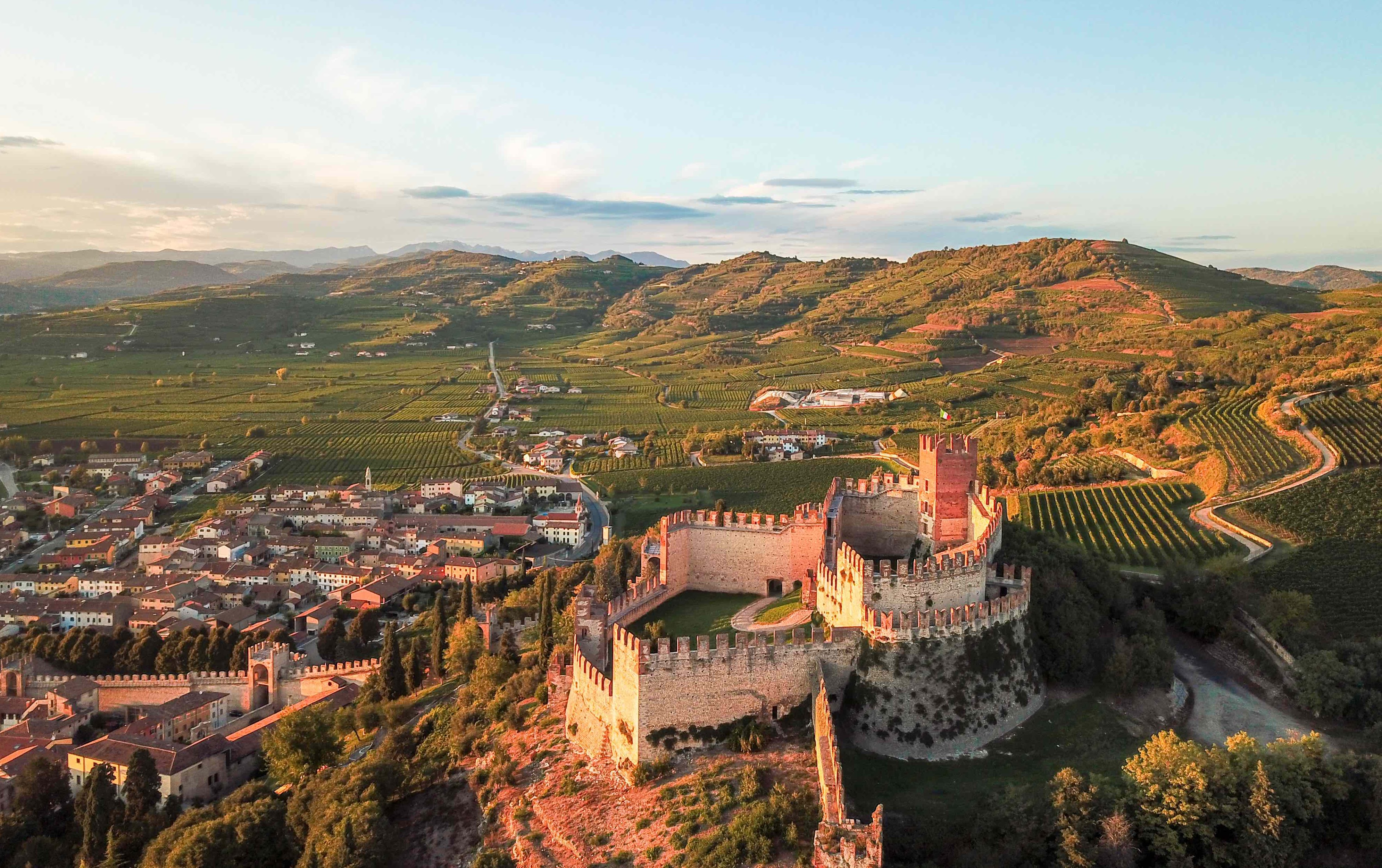 How Soave is back on the front foot with a strong 2018 harvest