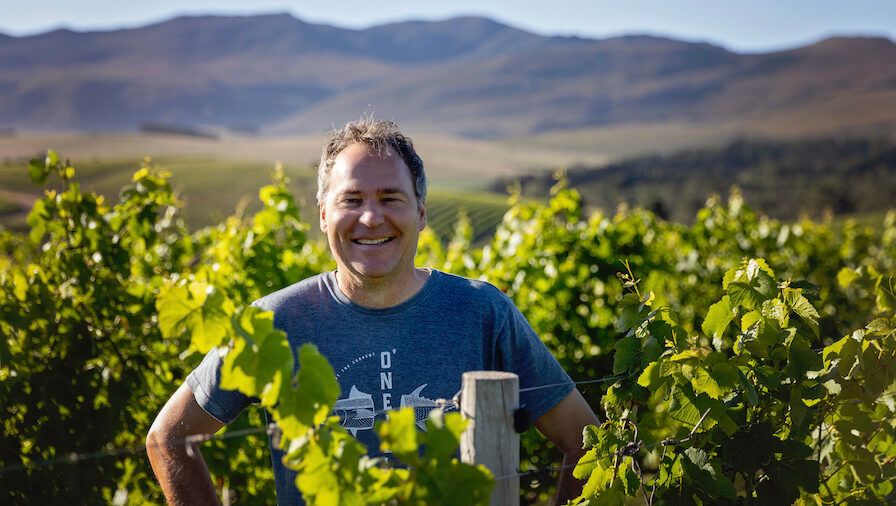 Anne Krebiehl MW on the special lure of Hemel en Aarde’s Creation Wines