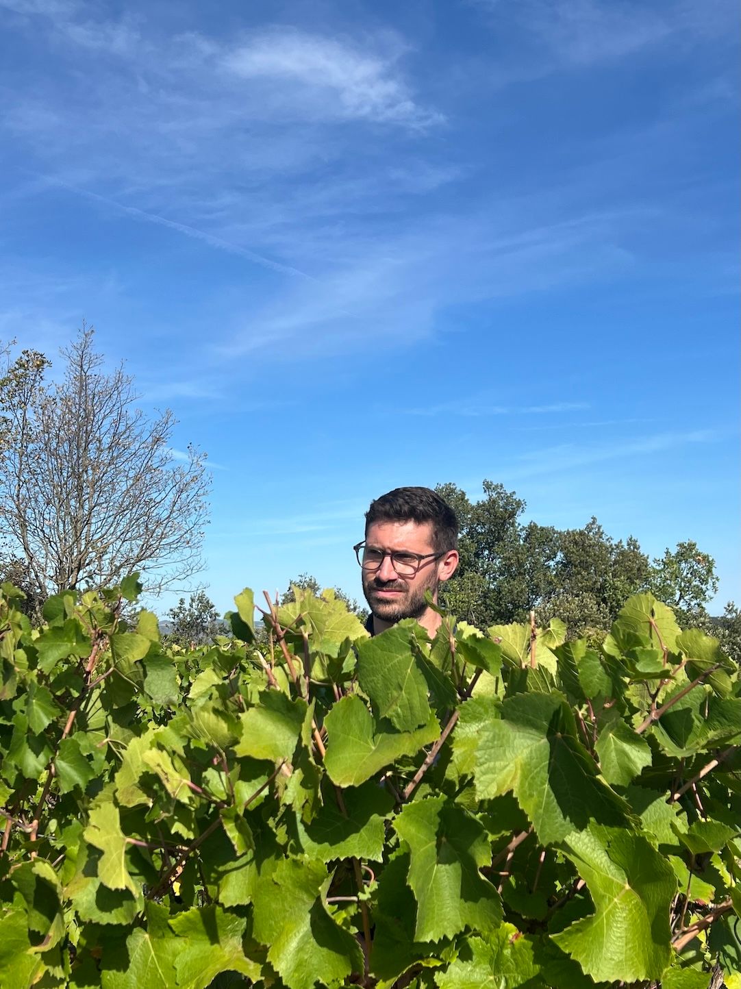 Abbotts & Delaunay: glimpsing the next chapter of Languedoc quality 