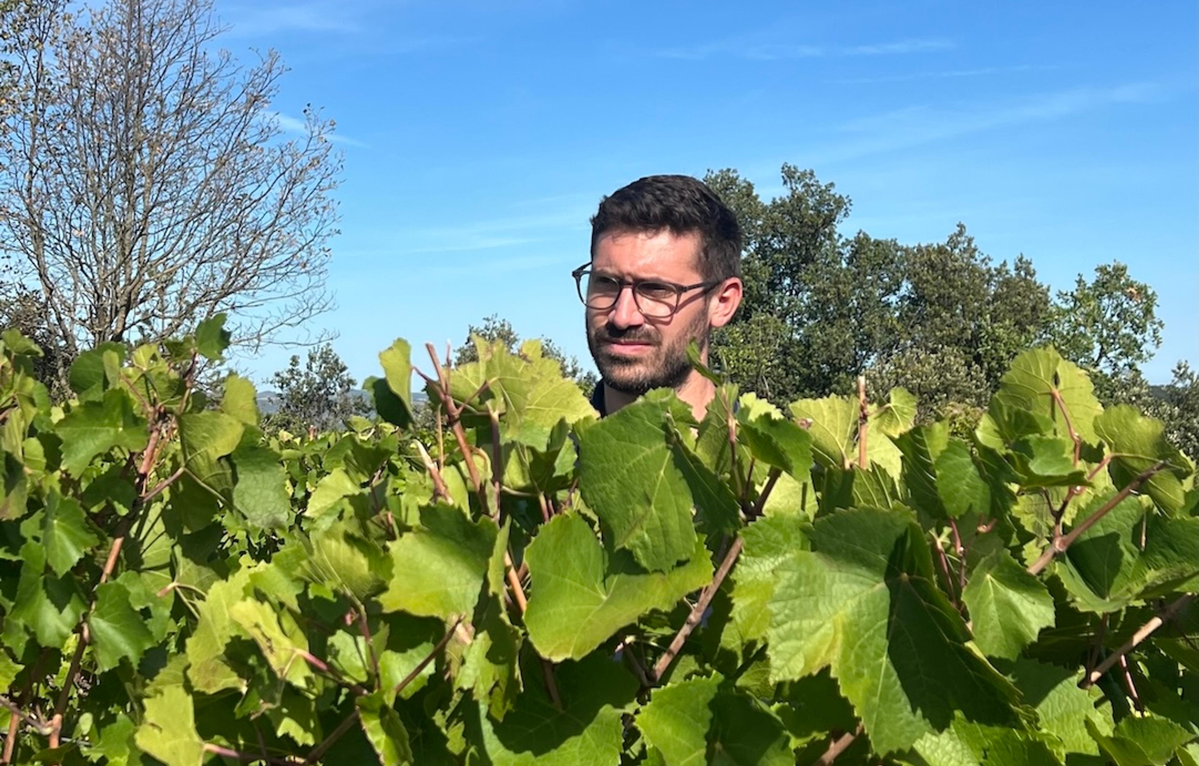 Abbotts & Delaunay: glimpsing the next chapter of Languedoc quality