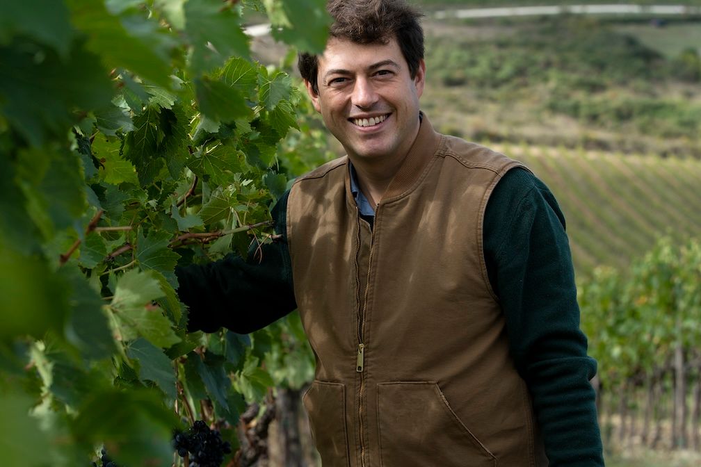 Jason Millar on Siepi: the history of Mazzei's true Tuscan icon