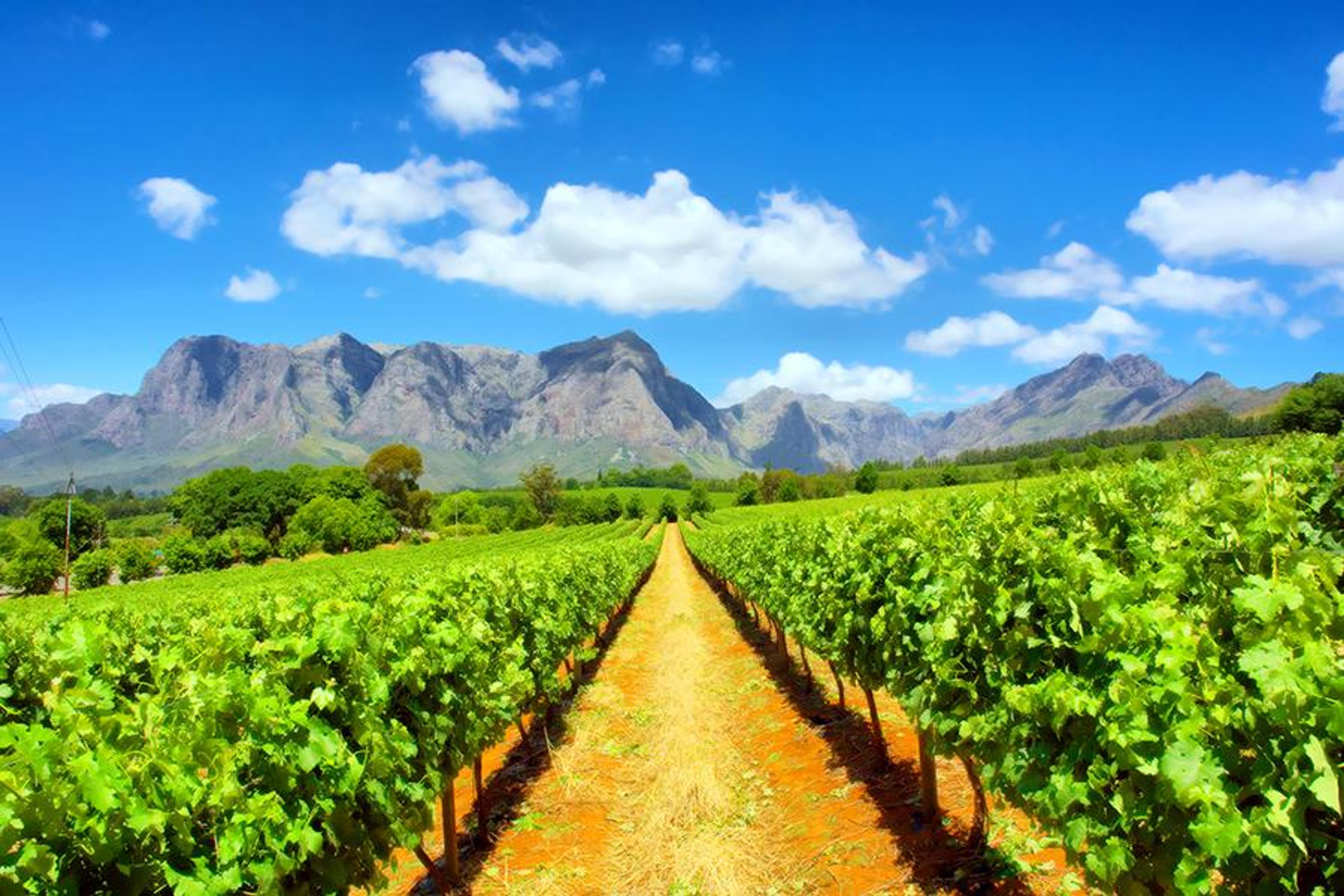Ross Sleet: why South Africa is ready to lead the world