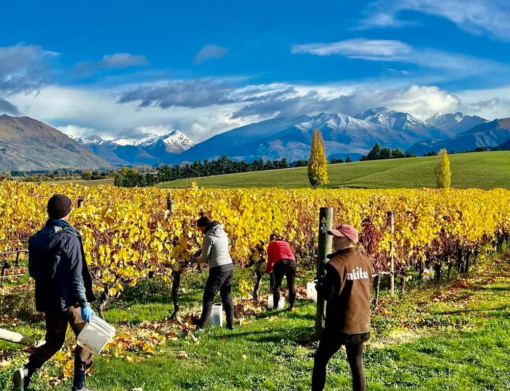 Akitu Blanc de Noirs 2024