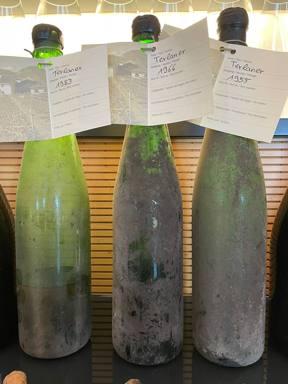 Cantina Terlano