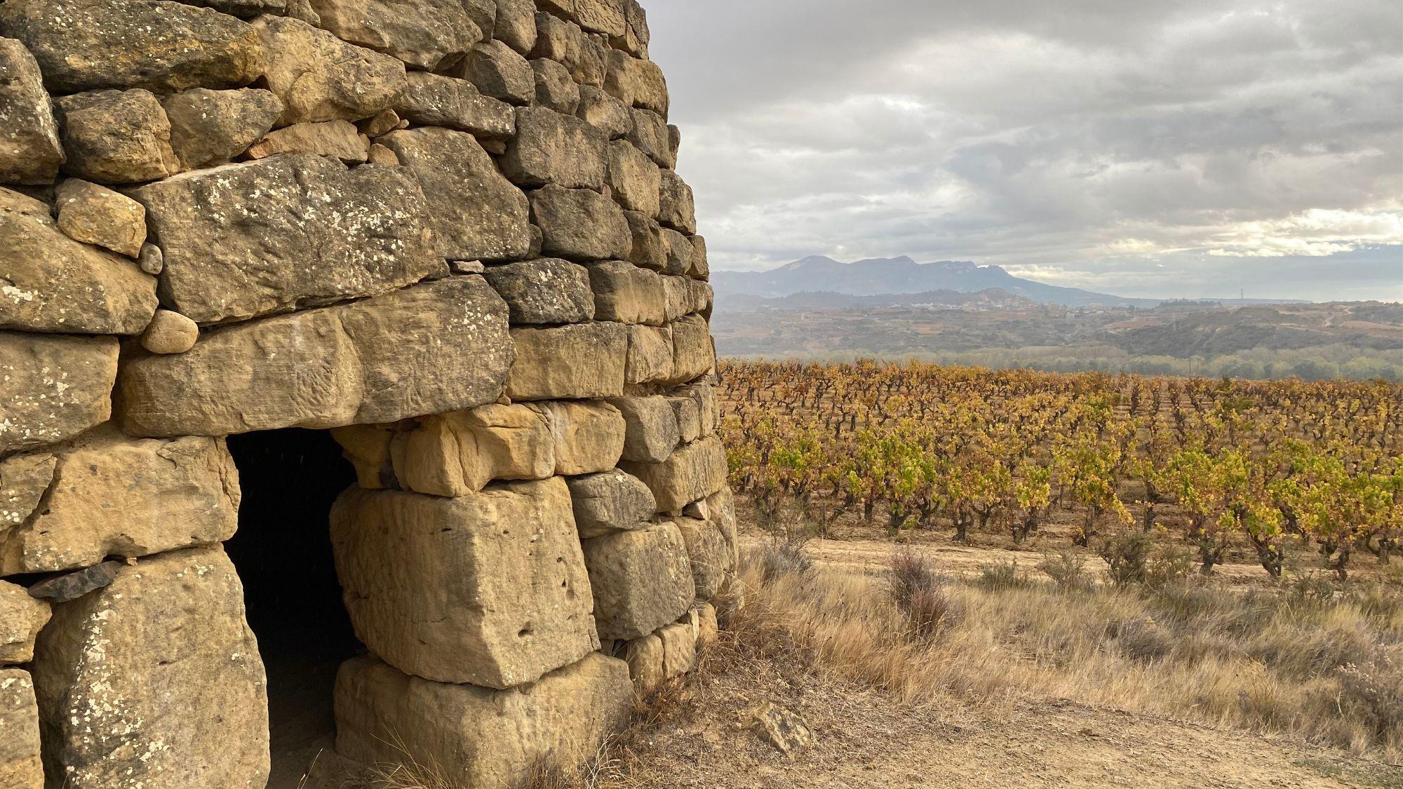 Rioja’s terroir revolution and new Vinos de Zona: Inside Rioja #2
