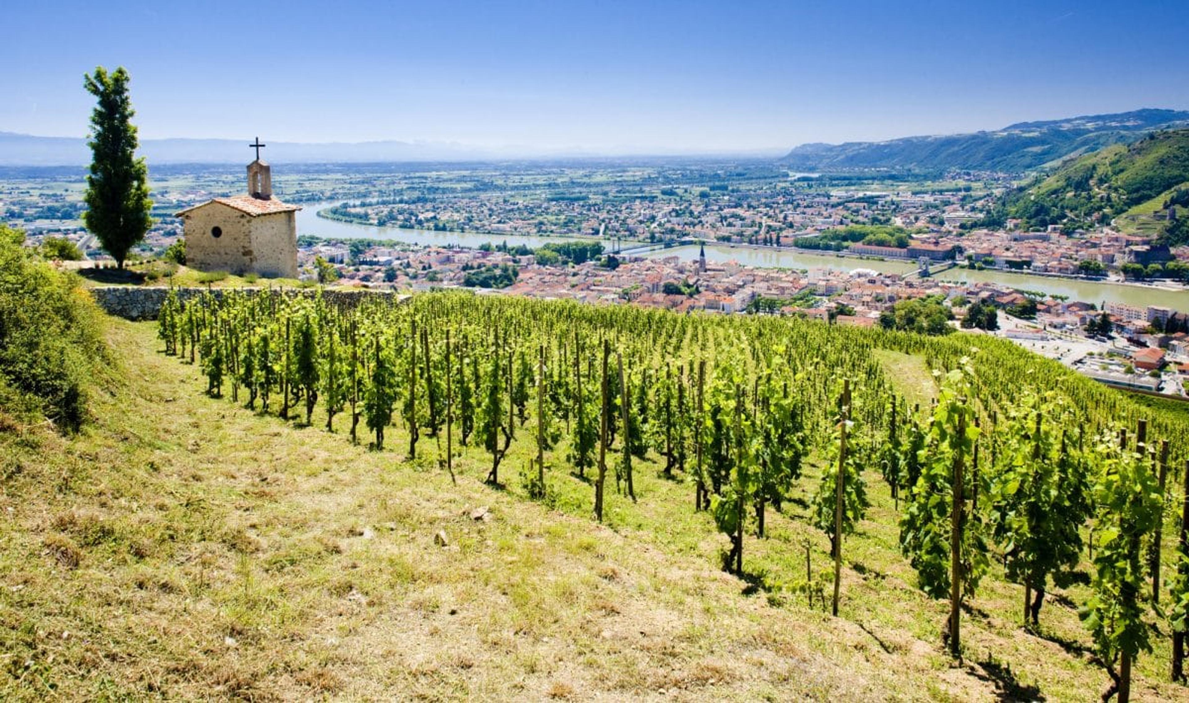 How the Rhône Valley is facing up to a fall in French red wine sales