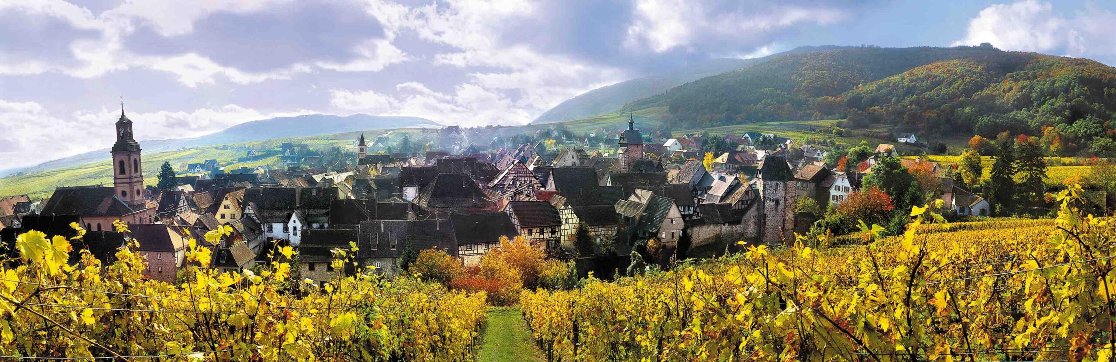 Millésimes Alsace goes online with first DigiTasting®