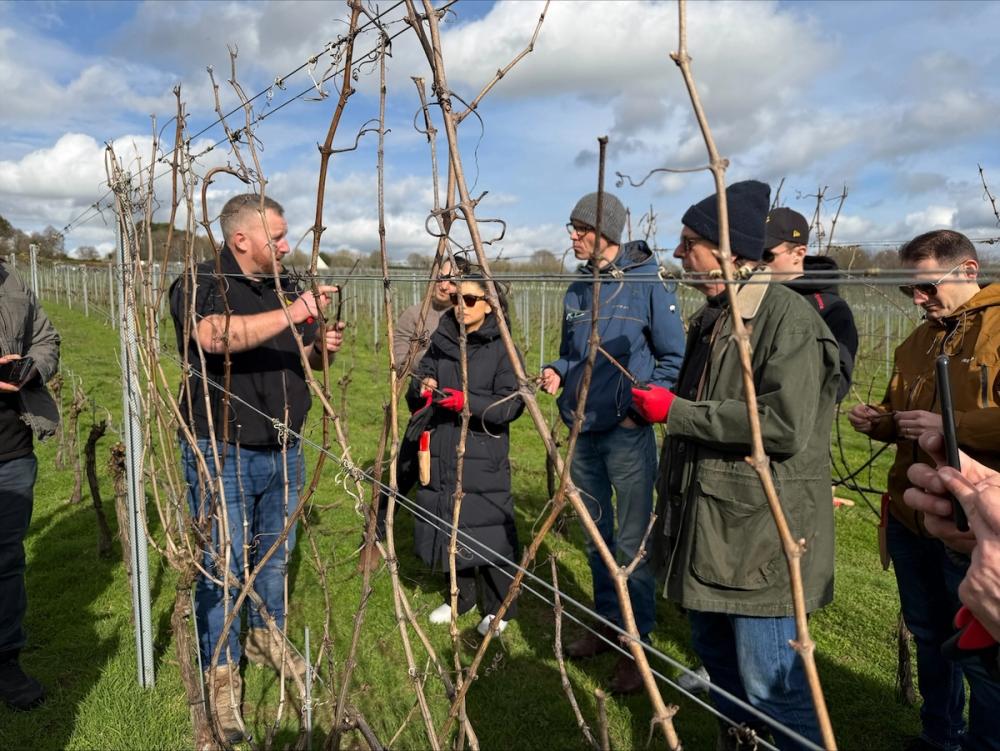 Roebuck Estate Viticulture Academy
