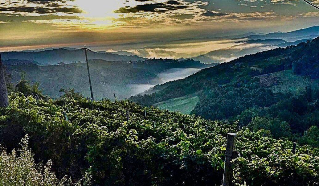 How sparkling wine is coming of age in the foothills of Piemonte