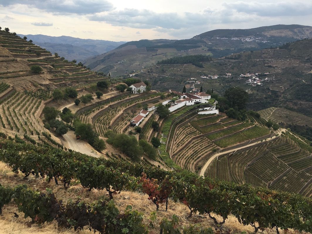 Quinta do Noval: a port is not just for Christmas