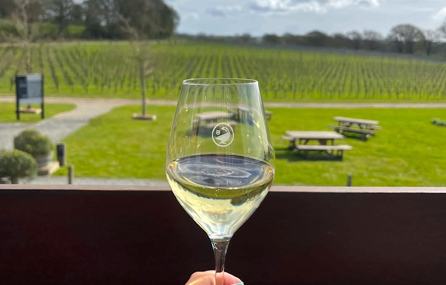 Bradley Horne: celebrating English Wine Week at Gusbourne Estate