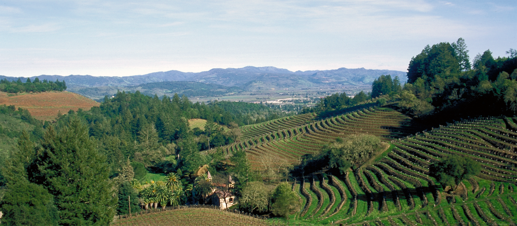 Nuance in Napa: how Spring Mountain has upped its game