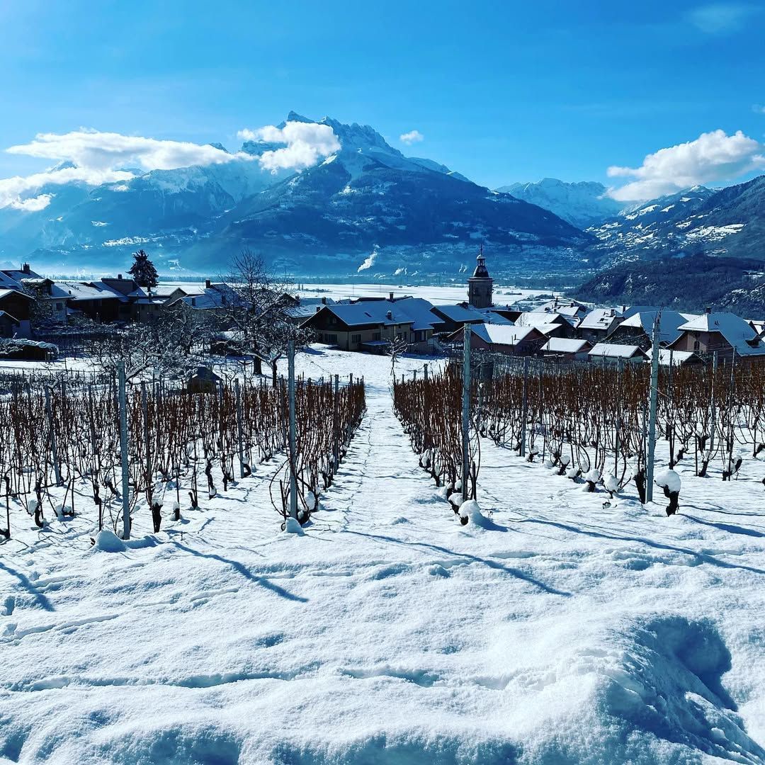 The Buyer | Geoffrey Dean: enotourism delights in Switzerland’s Vaud region