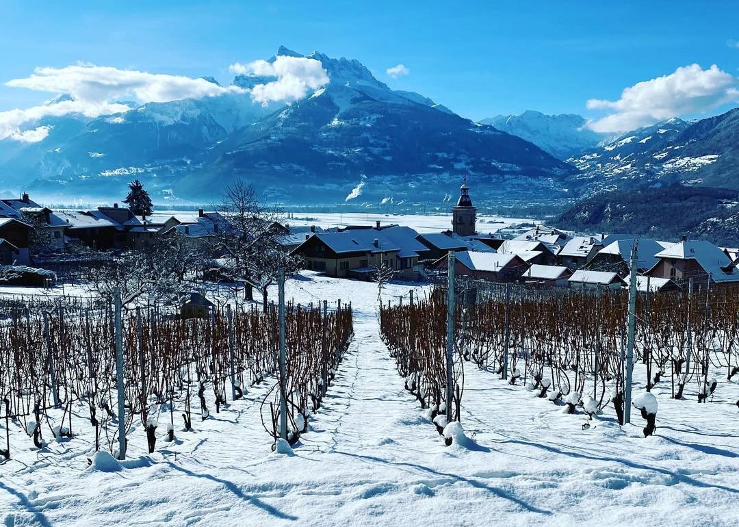 Geoffrey Dean: enotourism delights in Switzerland’s Vaud region
