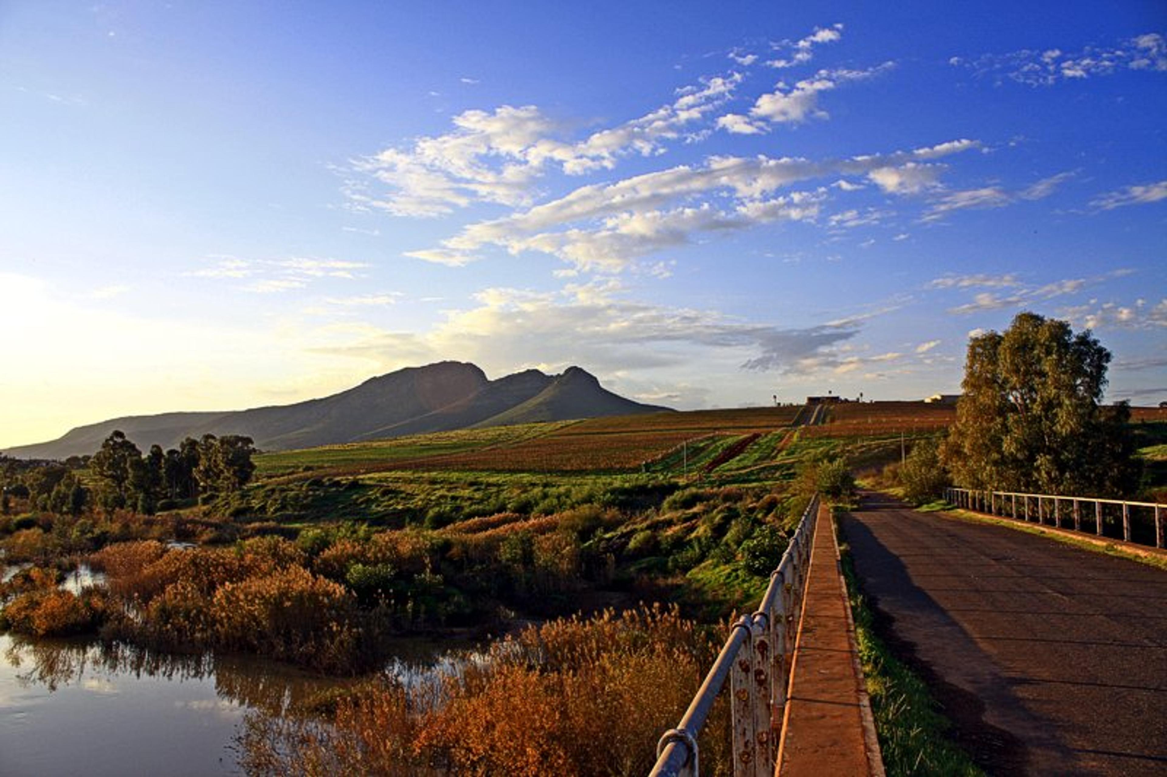 On the road: behind the scenes with Swartland’s pioneers