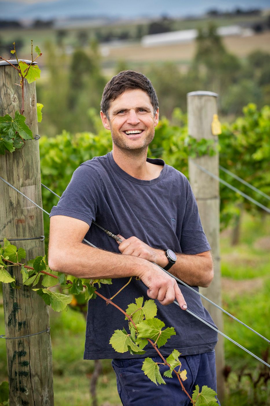 The Buyer | How Mount Mary champions French finesse in the Yarra Valley