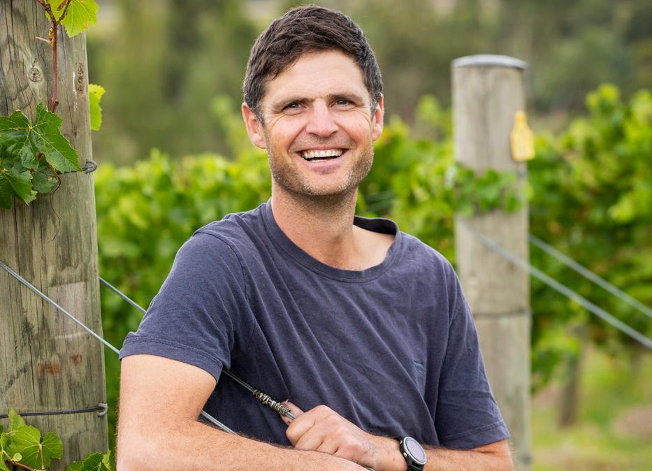 How Mount Mary champions French finesse in the Yarra Valley