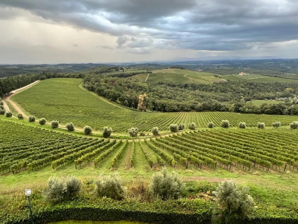 Ricasoli