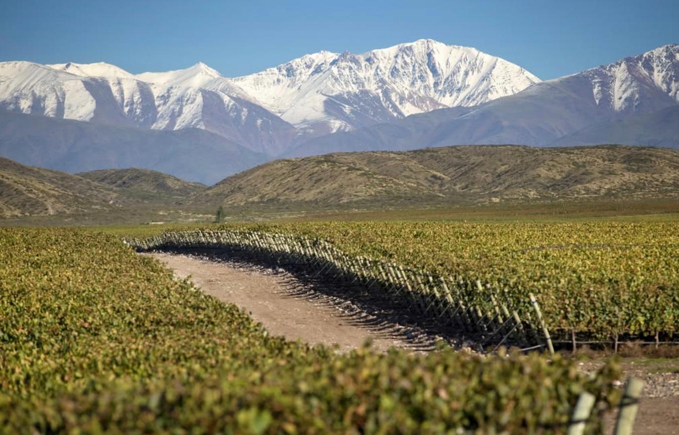 How Doña Paula is taking premium Argentine wines to a new level