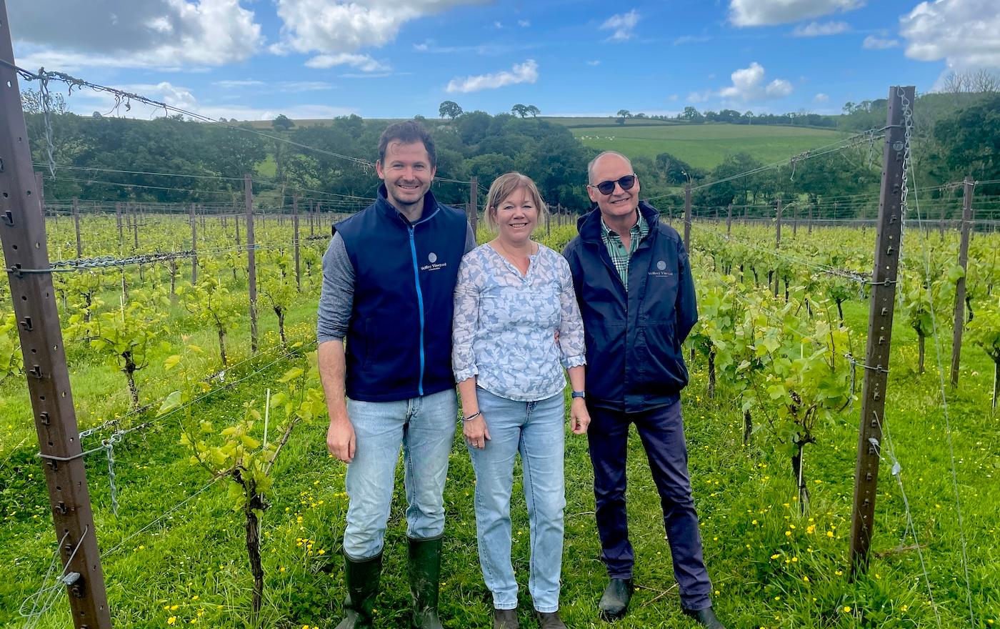 Leona de Pasquale on why Welsh wine is the UK's best-kept secret