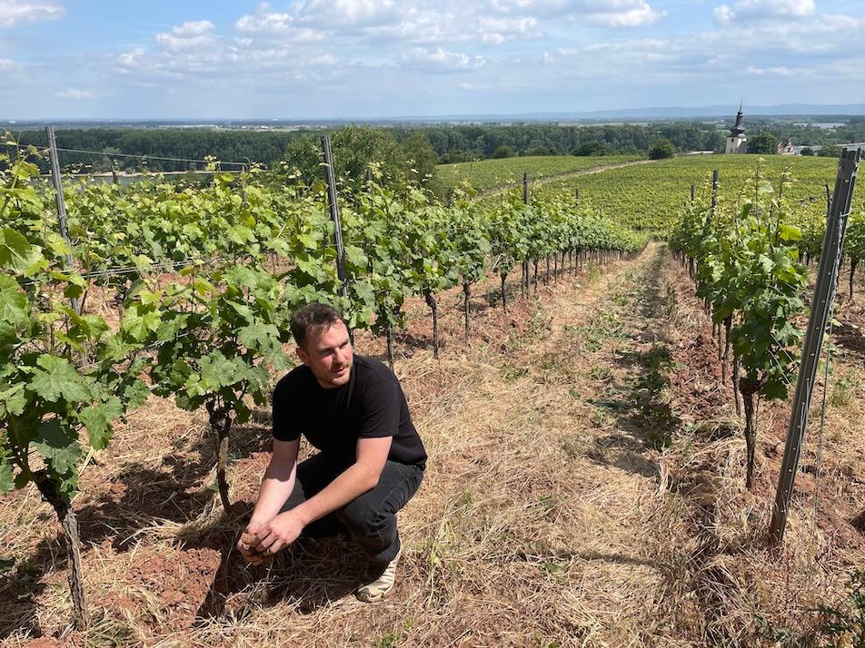 How young German winemakers are facing up to current challenges