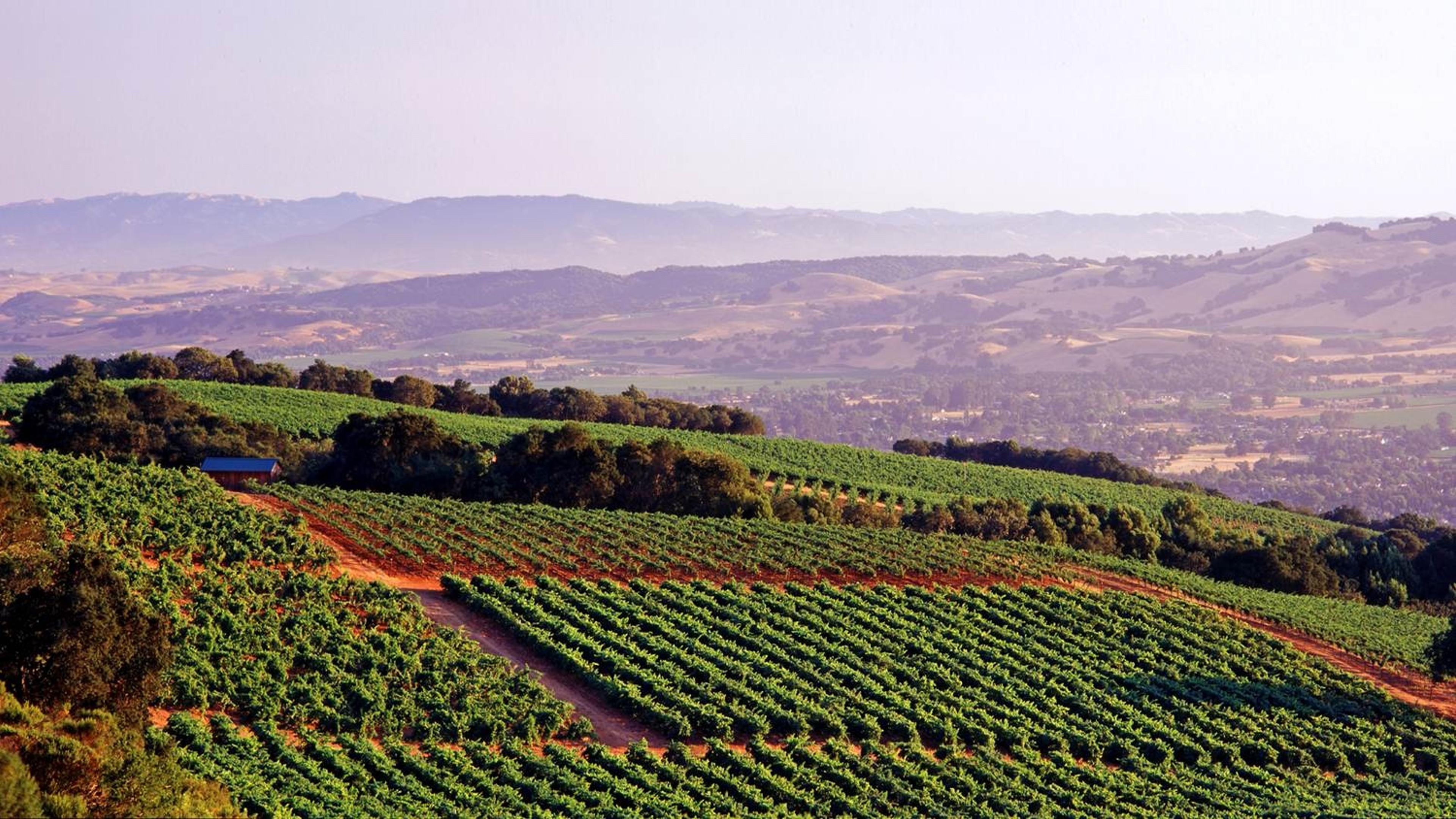Getting a taste of some premium wines from Sonoma County